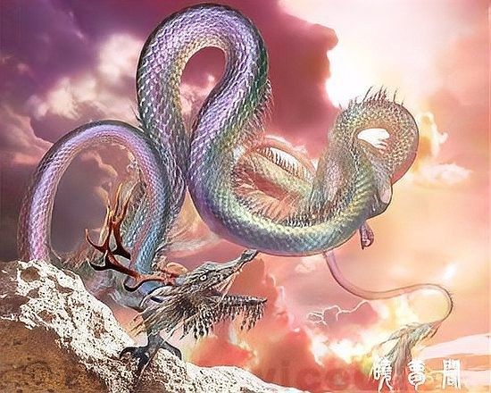 黑色龍?jiān)谀男┪幕杏杏涊d