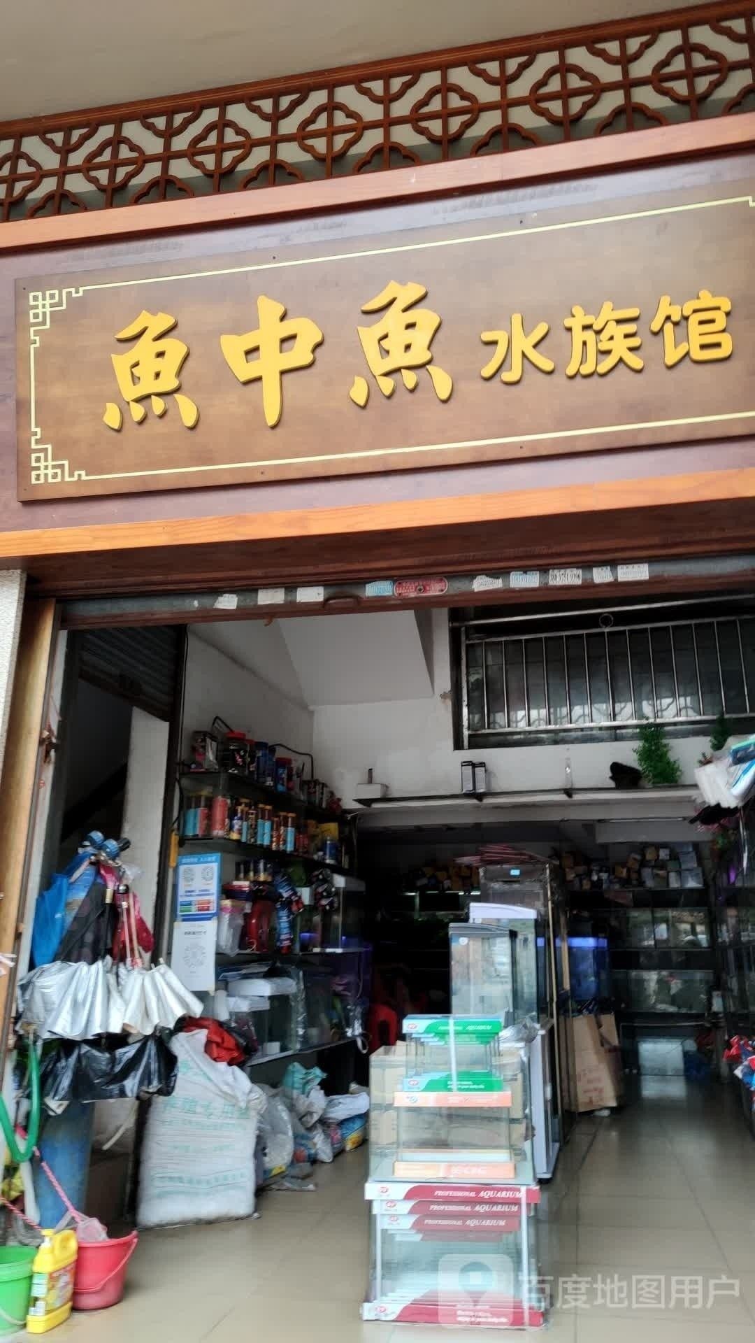 臺山哪個水族館龍魚好？祥龍魚場龍魚（臺山市祥龍水族館） 臺山哪個水族館龍魚好？祥龍魚場龍魚（臺山市祥龍水族館） 龍魚百科 第2張