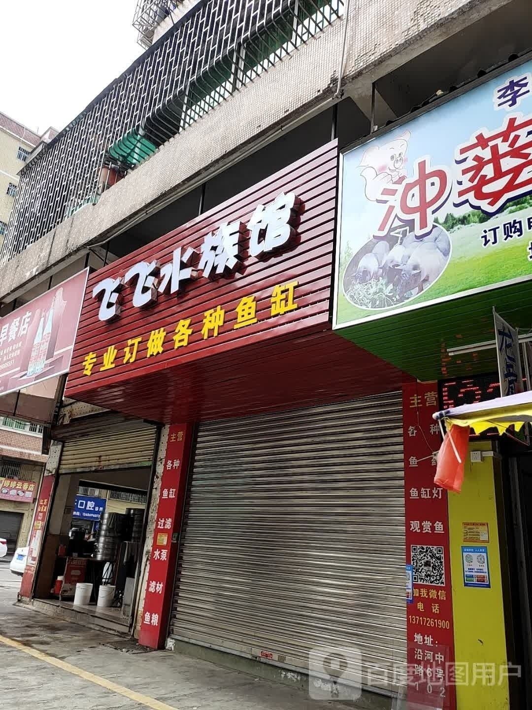 臺山哪個水族館龍魚好？祥龍魚場龍魚（臺山市祥龍水族館） 臺山哪個水族館龍魚好？祥龍魚場龍魚（臺山市祥龍水族館） 龍魚百科 第3張