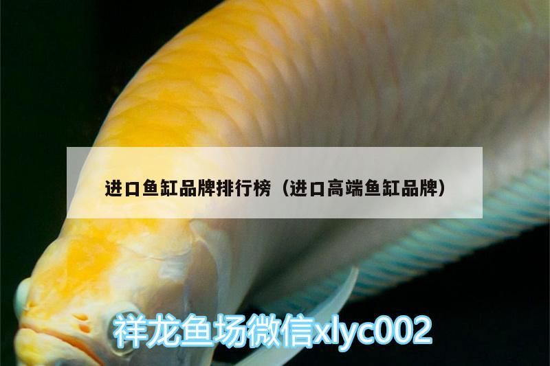 進口魚缸品牌排行榜（進口高端魚缸品牌）
