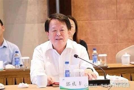 郭孔豐有哪些職業(yè)成就？ 郭孔豐有哪些職業(yè)成就？ 龍魚百科 第4張