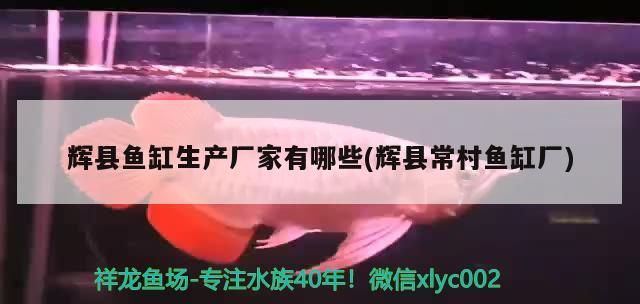 輝縣魚缸生產(chǎn)廠家有哪些(輝縣常村魚缸廠)