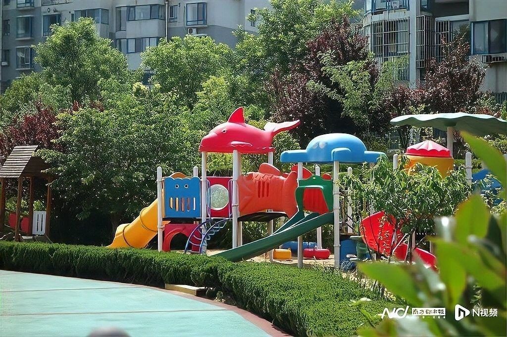 若貝爾幼兒園為何停辦？（深圳市龍華區若貝爾幼兒園何時會停辦？） 若貝爾幼兒園為何停辦？（深圳市龍華區若貝爾幼兒園何時會停辦？） 龍魚百科 第3張
