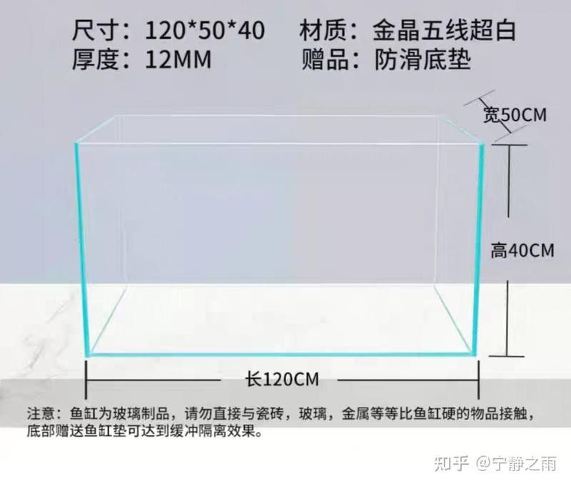 斑紋龍魚需要多大的魚缸？