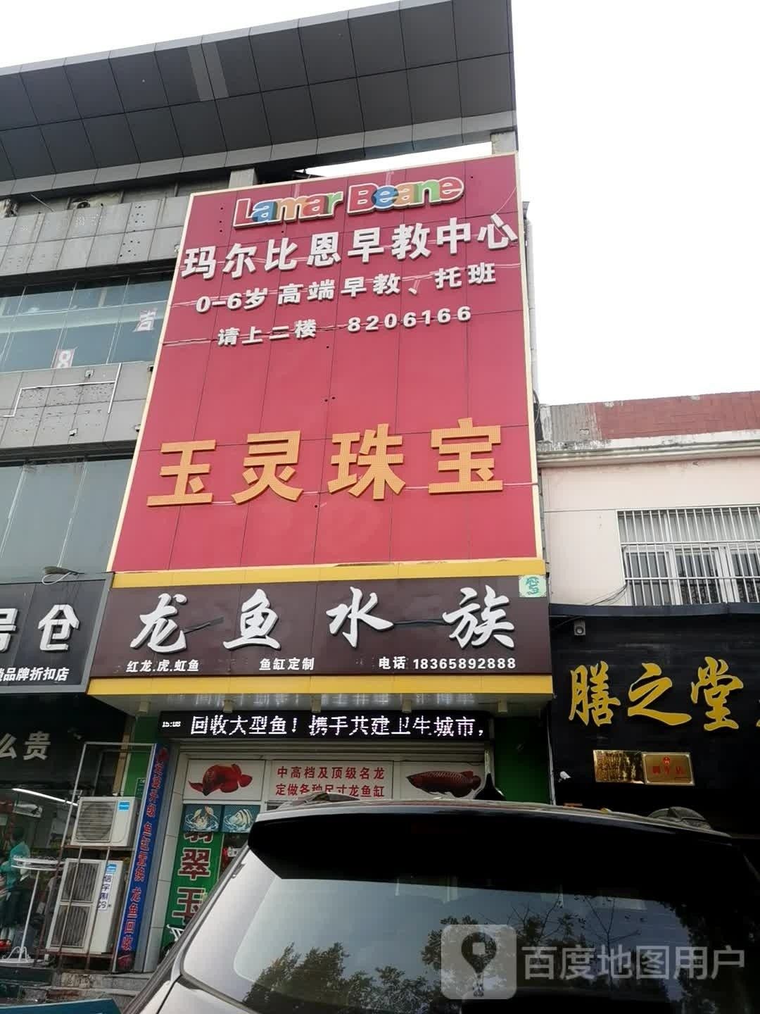 東昌府區龍魚水族店有龍魚批發嗎（東昌府區有龍魚批發嗎）