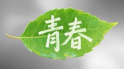 如何下載高清紅龍魚視頻？（如何下載高清紅龍魚視頻）