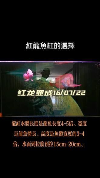 如何下載高清紅龍魚視頻？（如何下載高清紅龍魚視頻）