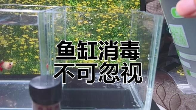 如何消毒魚缸以避免疾病傳播（關山聽風,魚缸消毒最簡單的方法全攻略）