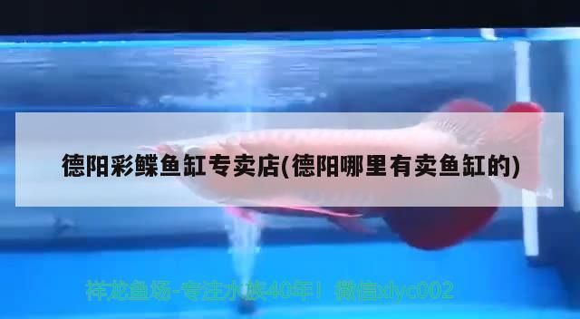 德陽彩鰈魚缸專賣店(德陽哪里有賣魚缸的)