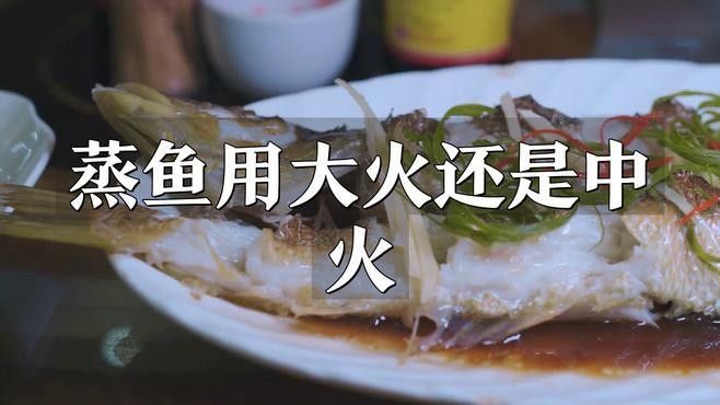 清蒸金龍魚有哪些常見錯誤 清蒸金龍魚有哪些常見錯誤 龍魚百科 第3張