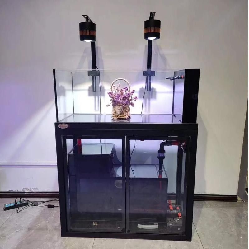 金龍魚缸需要多大的過濾系統？（金龍魚缸的過濾系統大小取決于多個因素）