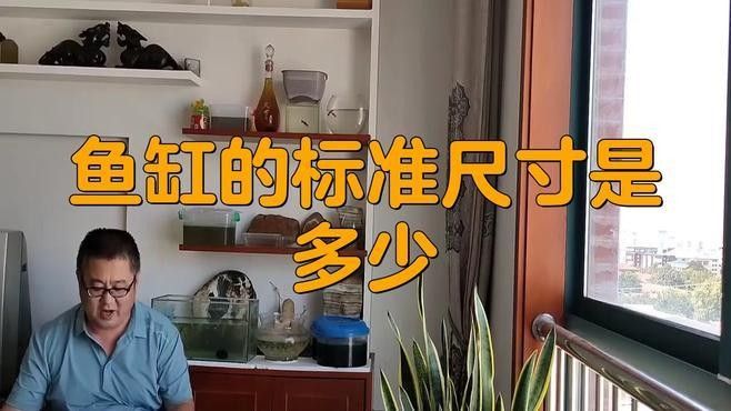 金龍魚缸需要多大的過濾系統(tǒng)？（金龍魚缸的過濾系統(tǒng)大小取決于多個因素）