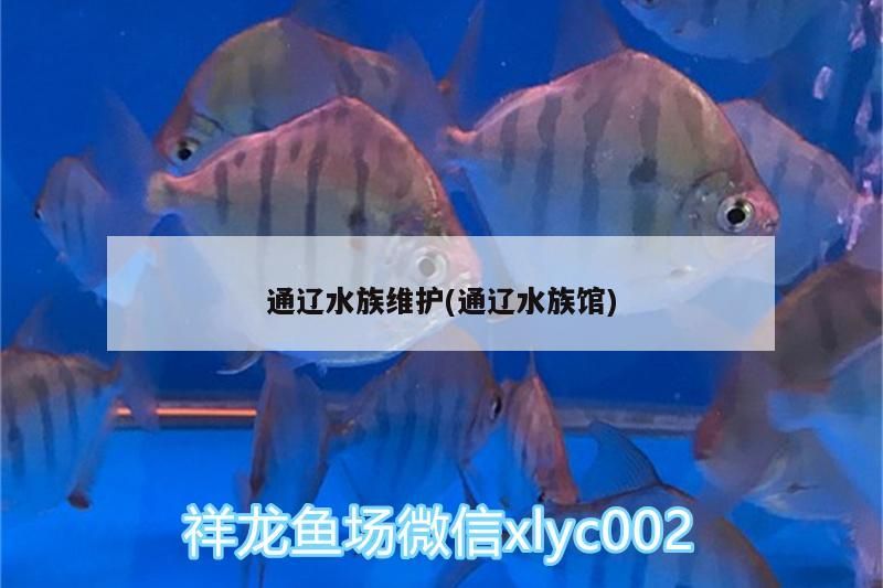 通遼水族維護(hù)(通遼水族館)（關(guān)于通遼水族館、通遼水族維護(hù)的介紹）