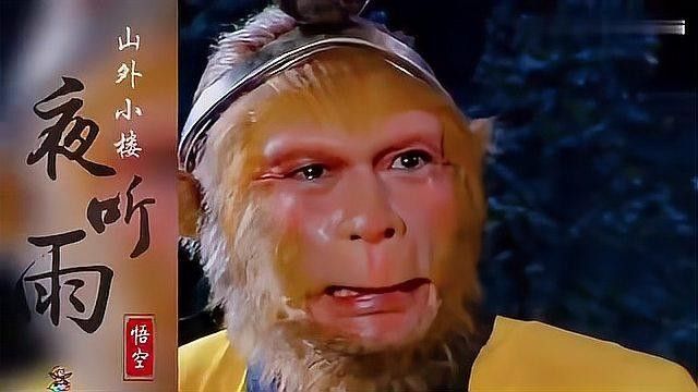 哪里可以找到老孫的早期視頻？ 哪里可以找到老孫的早期視頻？ 龍魚百科 第3張