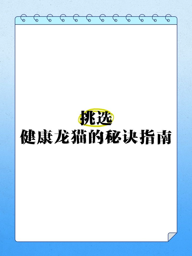 如何判斷龍貓是否健康？（如何判斷龍貓是否健康）