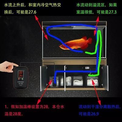 常溫魚缸養什么魚好,不容易死（常溫魚缸養什么魚好,不容易死魚）（常溫魚缸中養什么樣的魚比較靠譜？） 常溫魚缸養什么魚好,不容易死（常溫魚缸養什么魚好,不容易死魚）（常溫魚缸中養什么樣的魚比較靠譜？） 觀賞魚百科