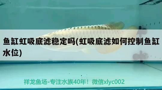 魚缸虹吸底濾穩定嗎(虹吸底濾如何控制魚缸水位)（魚缸虹吸底濾穩定嗎）