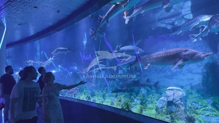 三江哪個水族館龍魚好？祥龍魚場龍魚 三江哪個水族館龍魚好？祥龍魚場龍魚 龍魚百科 第8張