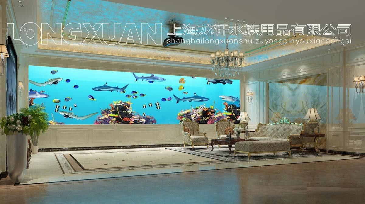 如何避免龍魚同類相食（龍魚三條不打架養(yǎng)寵小能手盤點(diǎn)家庭飼養(yǎng)名貴龍魚的那些大坑）