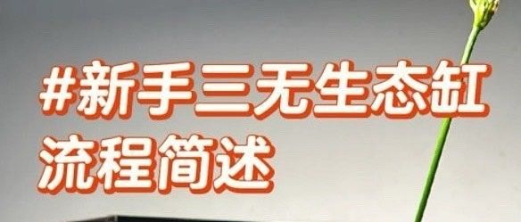黑缸飼養(yǎng)需要哪些特殊設(shè)備？（黑缸飼養(yǎng)的最佳溫度是多少黑缸飼養(yǎng)的最佳溫度是多少）
