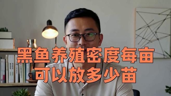 黑缸飼養(yǎng)需要哪些特殊設(shè)備？（黑缸飼養(yǎng)的最佳溫度是多少黑缸飼養(yǎng)的最佳溫度是多少）