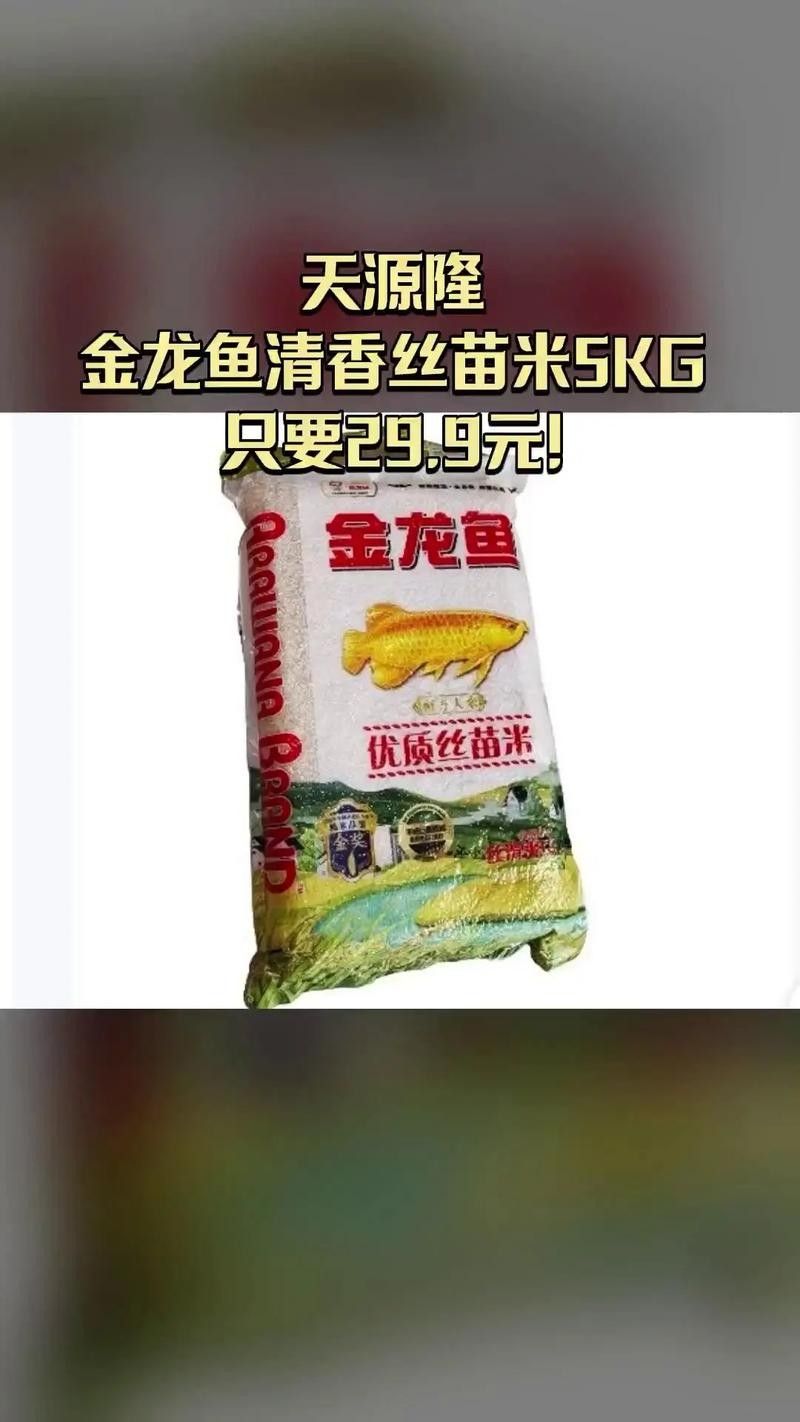 金龍魚(yú)絲苗米有哪些品種？（金龍魚(yú)絲苗米哪個(gè)品種最好吃金龍魚(yú)絲苗米哪個(gè)品種最好吃）