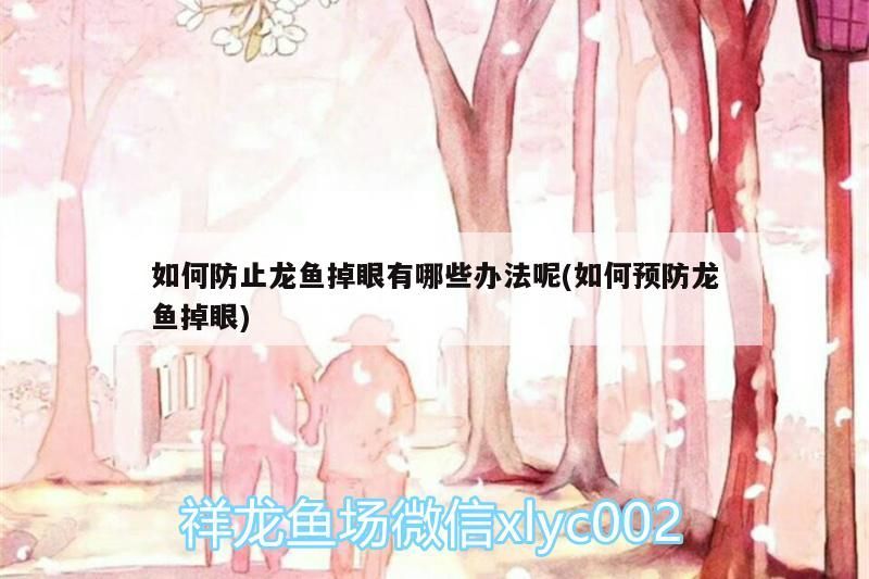 龍魚干蝦有營養(yǎng)嗎 如何防止龍魚掉眼有哪些辦法呢(如何預(yù)防龍魚掉眼)(如何防止龍魚掉眼) 觀賞魚百科 如何防止龍魚掉眼有哪些辦法呢(如何預(yù)防龍魚掉眼)(如何防止龍魚掉眼) 如何防止龍魚掉眼有哪些辦法呢(如何預(yù)防龍魚掉眼)(如何防止龍魚掉眼) 觀賞魚百科
