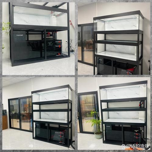 龍魚缸濾材擺放案例圖(魚缸濾材擺放案例圖) 龍魚百科 第8張 龍魚缸濾材擺放案例圖(魚缸濾材擺放案例圖) 龍魚缸濾材擺放案例圖(魚缸濾材擺放案例圖) 龍魚百科 第8張