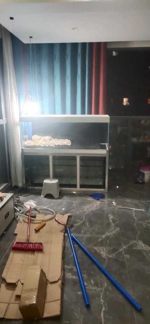 龍魚缸濾材擺放案例圖(魚缸濾材擺放案例圖) 龍魚百科 第15張 龍魚缸濾材擺放案例圖(魚缸濾材擺放案例圖) 龍魚缸濾材擺放案例圖(魚缸濾材擺放案例圖) 龍魚百科 第15張