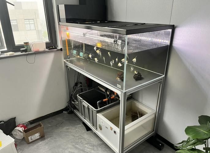 龍魚缸濾材擺放案例圖(魚缸濾材擺放案例圖) 龍魚百科 第7張 龍魚缸濾材擺放案例圖(魚缸濾材擺放案例圖) 龍魚缸濾材擺放案例圖(魚缸濾材擺放案例圖) 龍魚百科 第7張