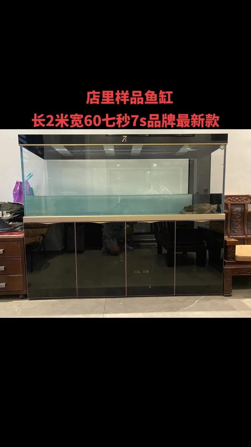 龍魚缸濾材擺放案例圖(魚缸濾材擺放案例圖) 龍魚百科 第23張 龍魚缸濾材擺放案例圖(魚缸濾材擺放案例圖) 龍魚缸濾材擺放案例圖(魚缸濾材擺放案例圖) 龍魚百科 第23張