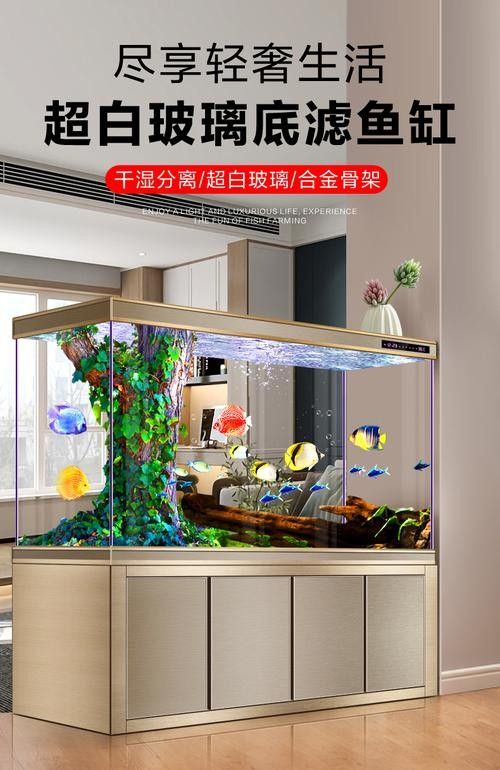 龍魚缸濾材擺放案例圖(魚缸濾材擺放案例圖) 龍魚百科 第20張 龍魚缸濾材擺放案例圖(魚缸濾材擺放案例圖) 龍魚缸濾材擺放案例圖(魚缸濾材擺放案例圖) 龍魚百科 第20張
