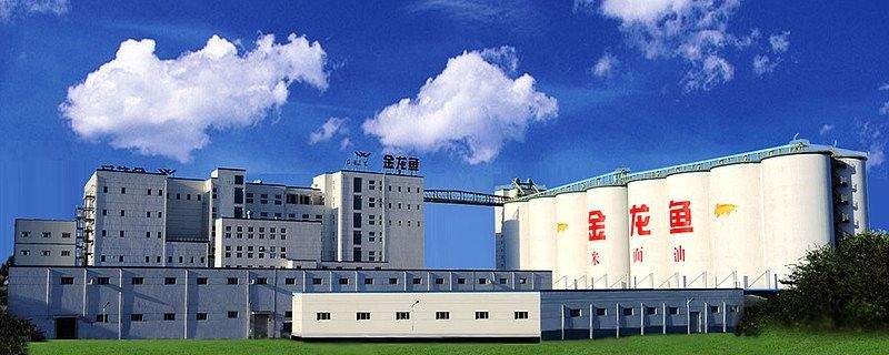 金龍魚是否涉及其他食品領域？（金龍魚在調(diào)味品領域有哪些具體產(chǎn)品） 金龍魚是否涉及其他食品領域？（金龍魚在調(diào)味品領域有哪些具體產(chǎn)品） 龍魚百科 第2張
