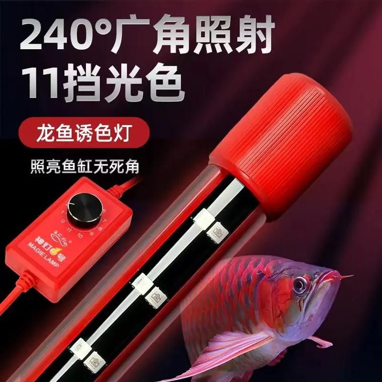 LED龍魚(yú)燈有哪些型號(hào)推薦（led龍魚(yú)燈led龍魚(yú)燈防水燈防水馬印增艷神燈）