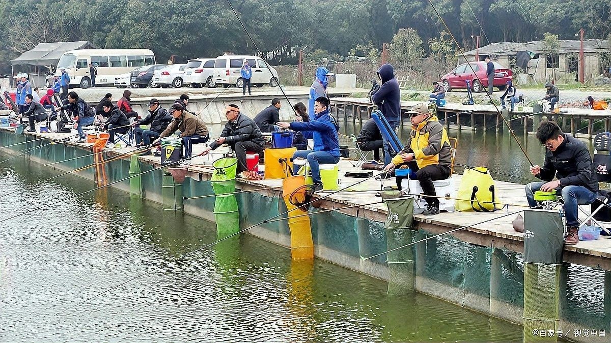 如何制作適合龍魚的高蛋白活餌？（適合龍魚的高蛋白活餌制作方法）