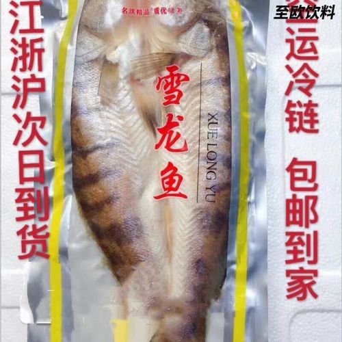 哪里可以購買到天山雪龍魚（北京各大觀賞魚市場詳解天山雪龍魚是什么魚秦牧歌）