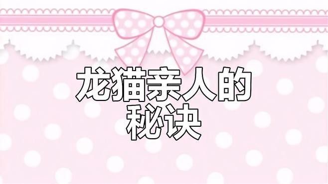 如何訓(xùn)練龍貓適應(yīng)放風(fēng)？（如何訓(xùn)練龍貓適應(yīng)放風(fēng)）