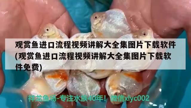 觀賞魚進口流程視頻講解大全集圖片下載軟件(觀賞魚進口流程視頻講解大全集圖片下載軟件免費)（觀賞魚進口流程視頻）