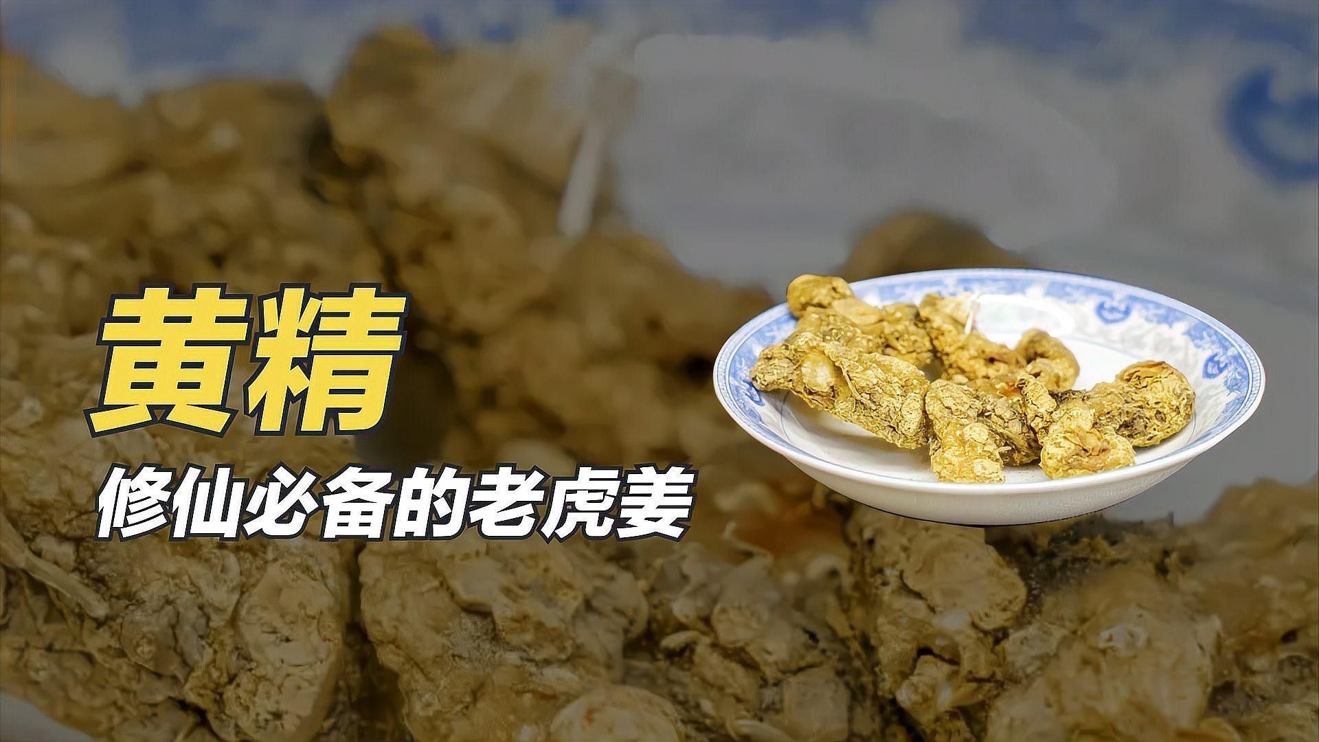 黃精和益智仁有哪些副作用？（中藥黃精和益智仁的副作用）