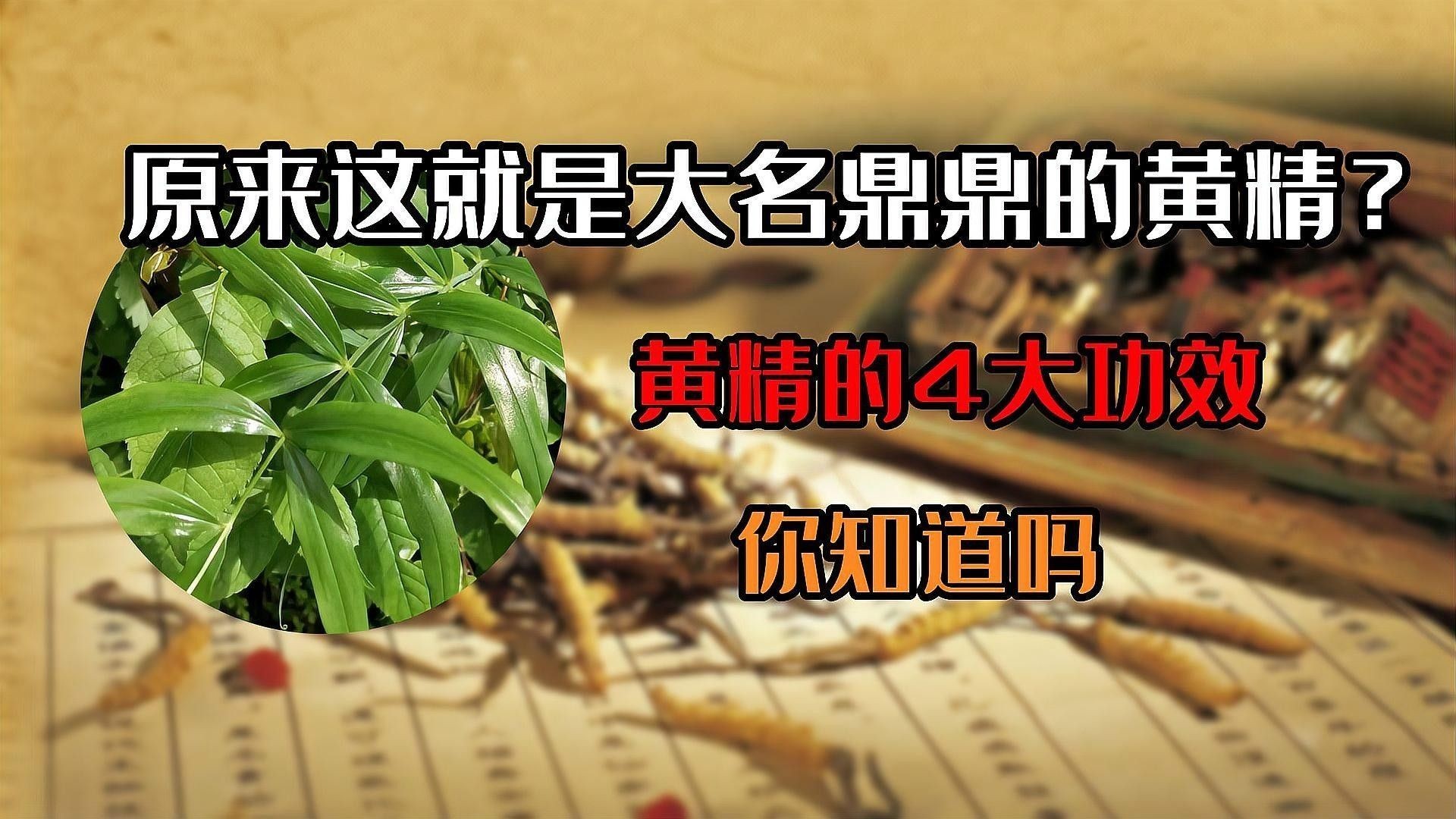 黃精和益智仁有哪些副作用？（中藥黃精和益智仁的副作用）