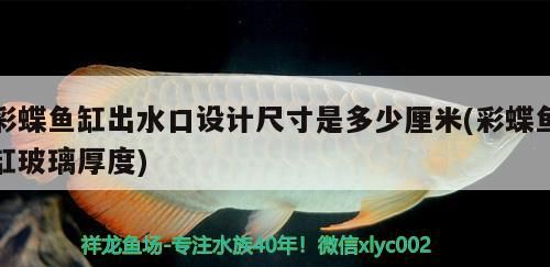 彩蝶魚缸出水口設計尺寸是多少厘米(彩蝶魚缸玻璃厚度)（彩蝶魚缸出水口設計尺寸）