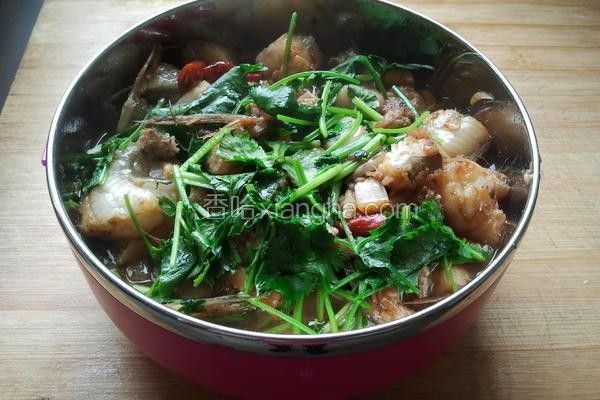 龍魚(yú)紅燒的配料有哪些選擇（龍魚(yú)紅燒做法全攻略劉大廚來(lái)了聽(tīng)劉大廚來(lái)了聽(tīng)） 龍魚(yú)紅燒的配料有哪些選擇（龍魚(yú)紅燒做法全攻略劉大廚來(lái)了聽(tīng)劉大廚來(lái)了聽(tīng)） 龍魚(yú)百科 第11張