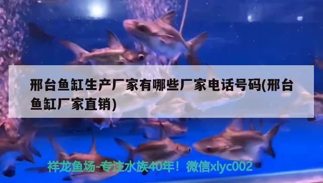 龍魚干蝦有營養嗎 邢臺魚缸生產廠家有哪些廠家電話號碼(邢臺魚缸廠家直銷)(邢臺魚缸生產廠家有哪些廠家電話號碼) 觀賞魚百科 邢臺魚缸生產廠家有哪些廠家電話號碼(邢臺魚缸廠家直銷)(邢臺魚缸生產廠家有哪些廠家電話號碼) 邢臺魚缸生產廠家有哪些廠家電話號碼(邢臺魚缸廠家直銷)(邢臺魚缸生產廠家有哪些廠家電話號碼) 觀賞魚百科