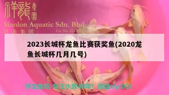 2023長城杯龍魚比賽獲獎魚(2020龍魚長城杯幾月幾號)（023長城杯龍魚合作用，首創2020龍魚長城杯幾月幾號） 2023長城杯龍魚比賽獲獎魚(2020龍魚長城杯幾月幾號)（023長城杯龍魚合作用，首創2020龍魚長城杯幾月幾號） 觀賞魚百科