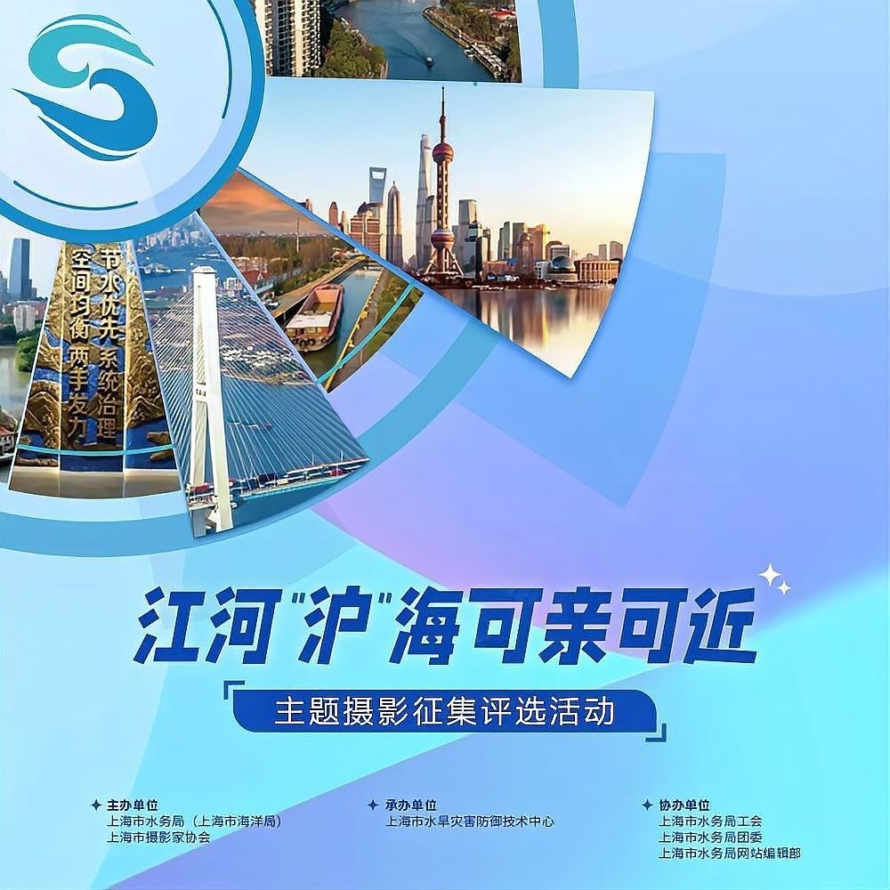 奉賢哪個水族館龍魚好？祥龍魚場龍魚（上海奉賢區哪個水族館的龍魚表現最為出色，奉賢區龍魚場） 奉賢哪個水族館龍魚好？祥龍魚場龍魚（上海奉賢區哪個水族館的龍魚表現最為出色，奉賢區龍魚場） 龍魚百科 第8張