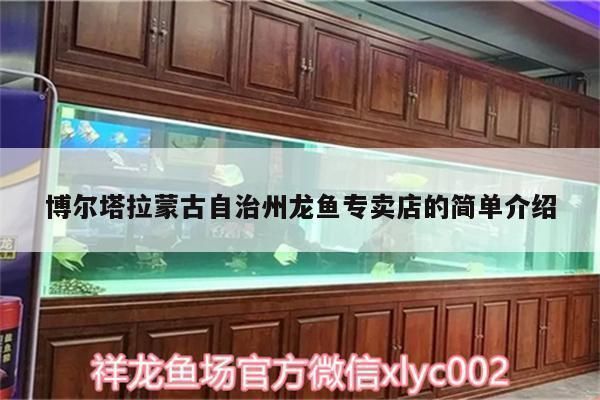 博爾塔拉蒙古自治州龍魚水族店：博樂市龍魚水族店