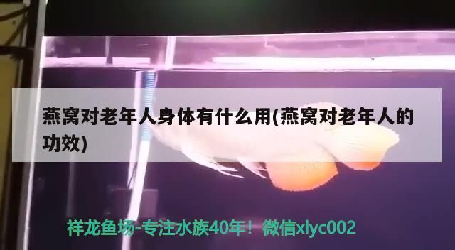 燕窩對老年人身體有什么用(燕窩對老年人的功效)（燕窩對老年人身體有什么功效，燕窩對老年人有什么用）
