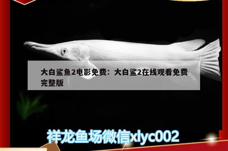 大白鯊魚2電影免費:大白鯊2在線觀看免費完整版（大白鯊魚2電影免費完整版《大白鯊魚2》免費完整版） 大白鯊魚2電影免費:大白鯊2在線觀看免費完整版（大白鯊魚2電影免費完整版《大白鯊魚2》免費完整版） 觀賞魚百科