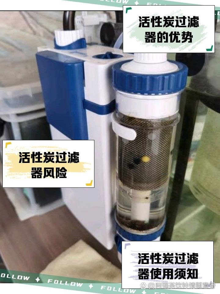 龍魚底濾中活性炭多久換一次（魚底濾系統中的活性炭是過濾水質的關鍵部分）