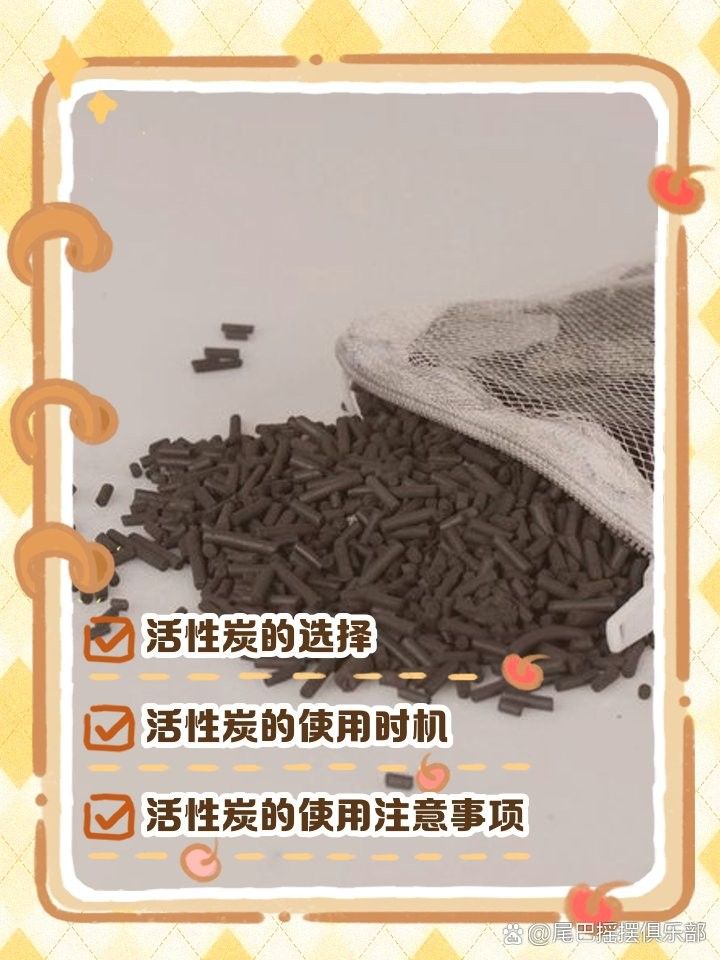 龍魚底濾中活性炭多久換一次（魚底濾系統中的活性炭是過濾水質的關鍵部分）